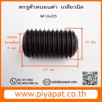 M16x25 รูปโชว์